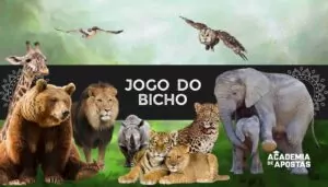 Quanto paga a centena na cabeça no Jogo do Bicho