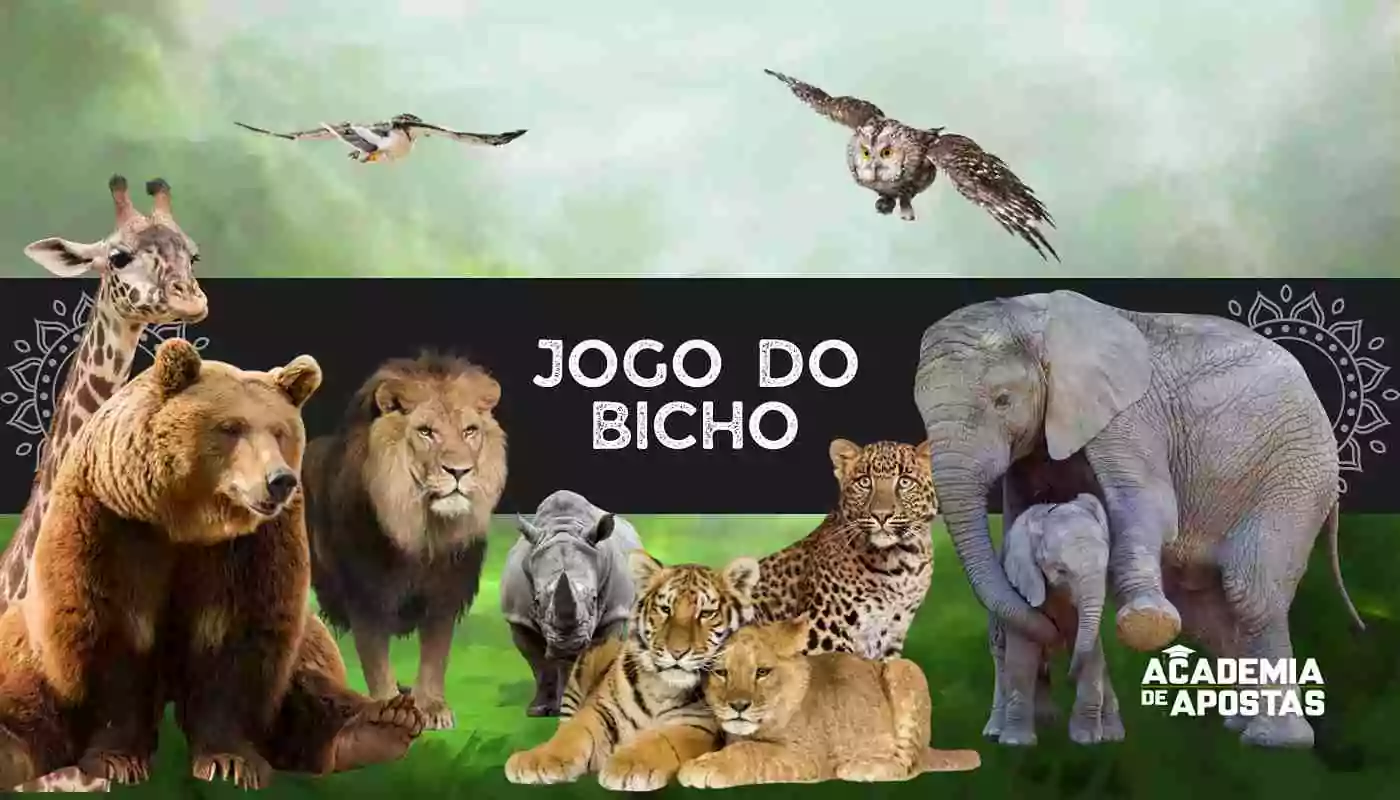 Quanto paga a centena na cabeça no Jogo do Bicho